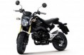 /album/galeria-de-fotos-modelos/honda-msx-125-2-jpg/